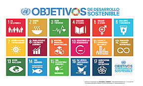Objetivos de UNESCO, BID, OCDE
