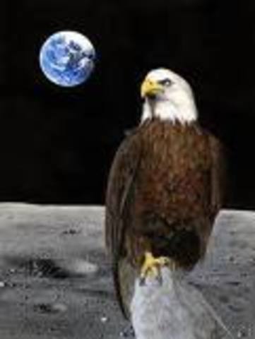 The Eagle Has Landed