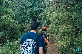 La educación a partir de la naturaleza XlX