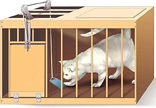 Edward Thorndike - Ley del ejercicio