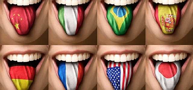 LINGUA decisión del Consejo