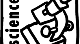 Timeline: michael bracero pd 7