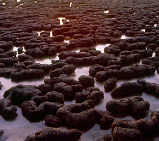 3.5 billion years ago