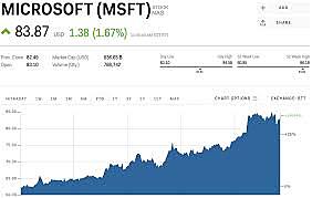 Microsoft Goes Public