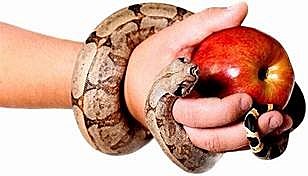 Más tarde Jacob Bohme incluiría el factor pecado.