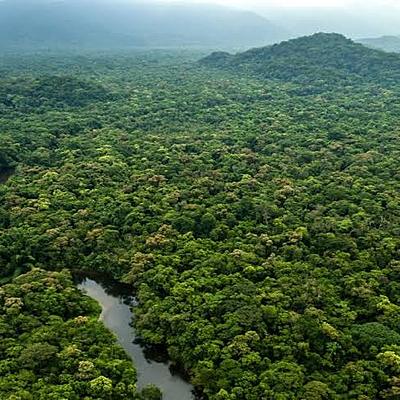 Timeline: Globalización y medio ambiente