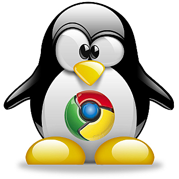 Google Announces Its Own Version of Linux
