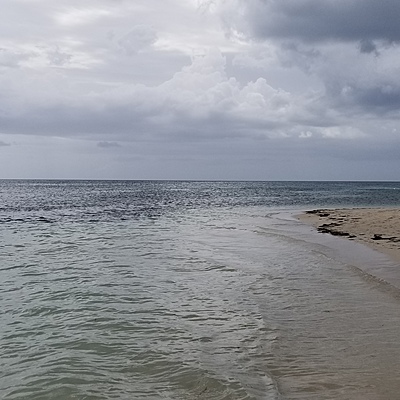 Timeline: Mi Vida Ideal