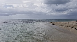 Timeline: Mi Vida Ideal