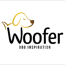 Creación de Empresa