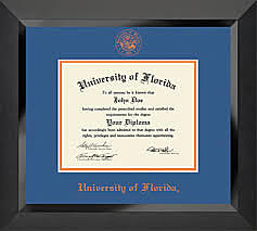 Initial online-only public school