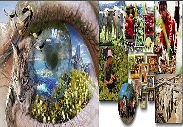 Intersección entre la Naturaleza, Sociedad y Persona