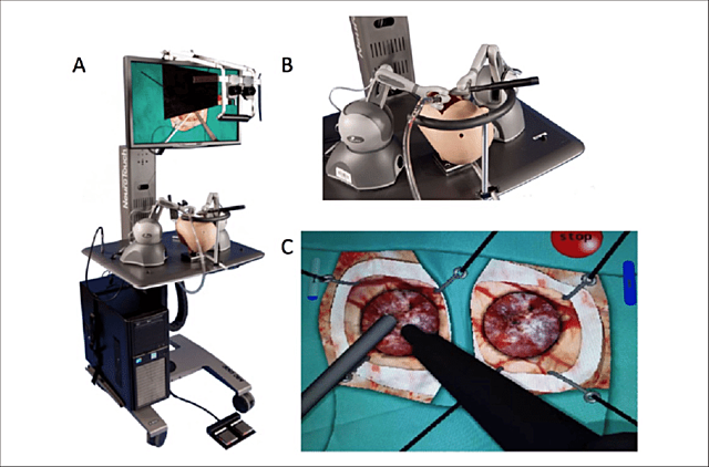 Neurocirujanos canadienses del National Research Council of Canada