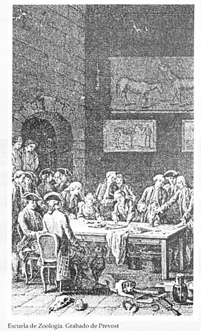 Creación de la Comisión Educativa