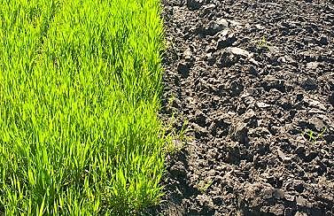 Contaminación de los suelos