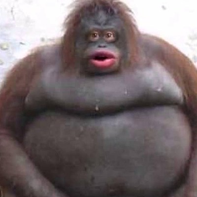 Timeline: Nya idéer och handlingsvägar