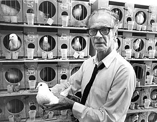 Burrhus F. Skinner - Experimiento "La superstición de la paloma"