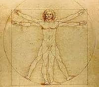 El hombre de Vitruvio