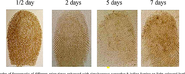 Professor Paul-Jean Coulier