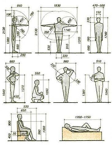 Anthropometry