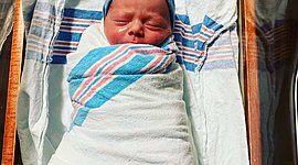 Timeline: My Life Carozza