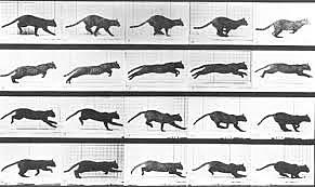 Edward Muybridge