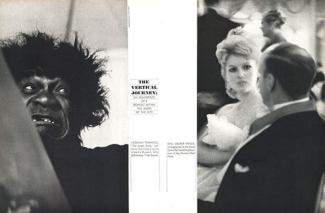 Publicatie The Vertical Journey van Diane Arbus