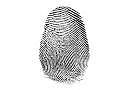 23 Million Fingerprints on File