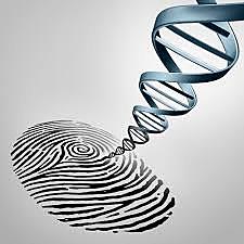 Identifying Criminals