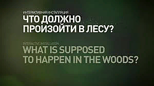 Интерактивная инсталляция «Что должно произойти в лесу?»