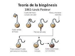 Biogénesis
