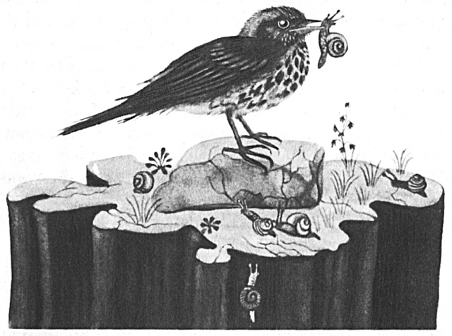 The Journey part 6 entrance to the Lair