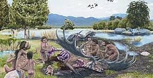 carroñero recolector