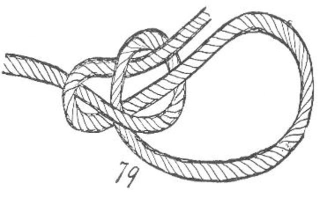 History of Austrailia