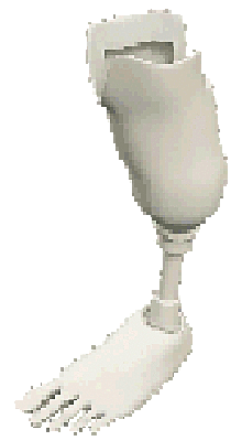Artificial Limbs