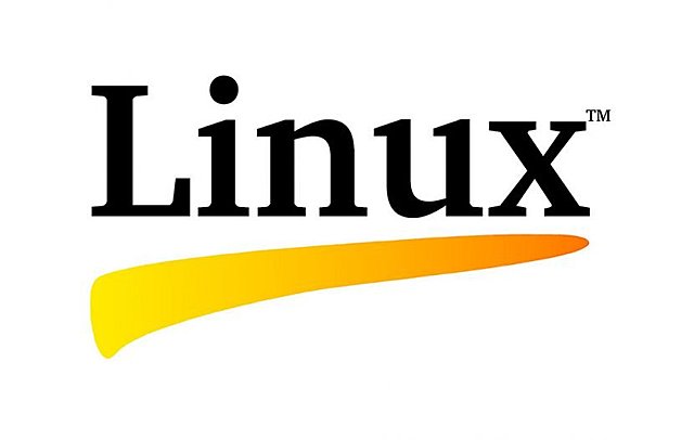 Primera Versión de Linux