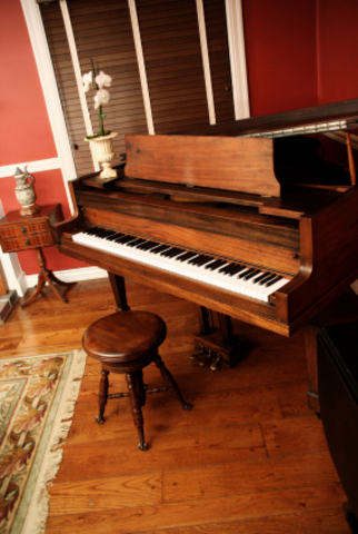 Began study of music.