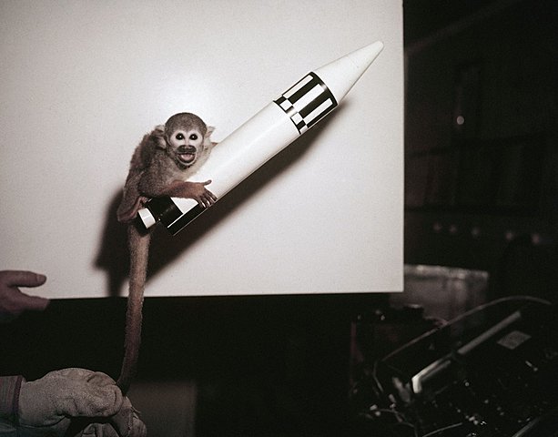 First Mammals to Go into Space and Survive