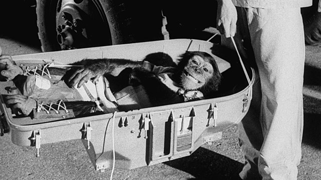 The First Animal to Interact with the Spacecraft