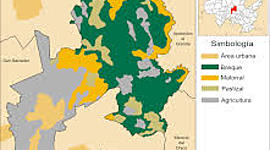 Timeline: uso del suelo y culturas del mundo