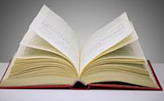 Amir finished his first novel