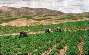 pag-89 (preguntas a nuestro criterio)