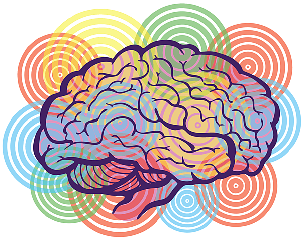 De la mitología cerebral a  la neuropsicología