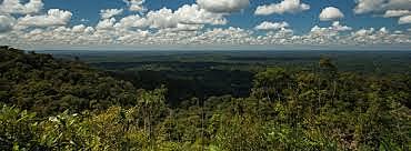 Amazonia ecuatoriana