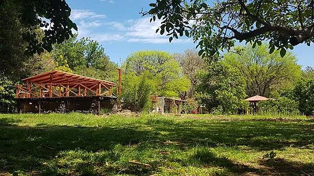 Cambios que ha sufrido el ambiente.