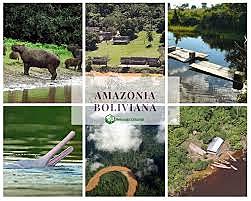 Amazonia Boliviana