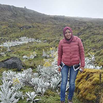 Timeline: Mi Historia en el Tiempo