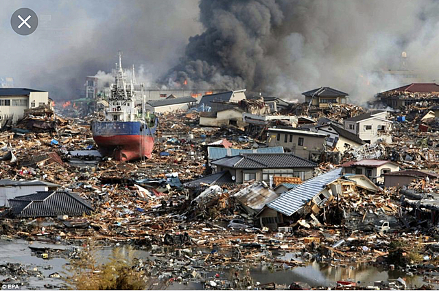 Tohoku Earthquake