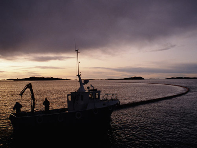 ABT Summer  260,000 tonnes