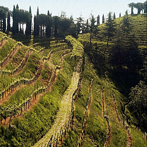 ЗАПУСК ПРОИЗВОДСТВА НА ФЕРМЕ